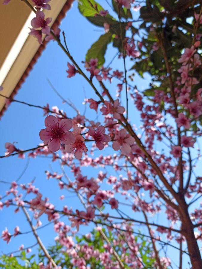 Happy Days Apartment Tirós 外观 照片